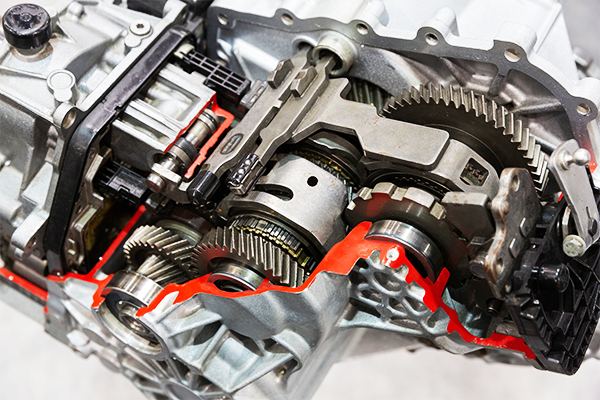 Aktarma Organları Sistemi